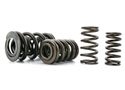 E36 325, 328 & M3 Ferrea High Performance Valve Spring Set