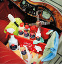 BMW E84 Leather & Plastic Care